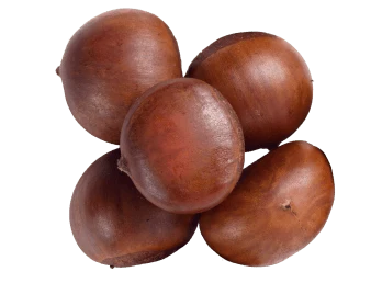 Chestnut Extract