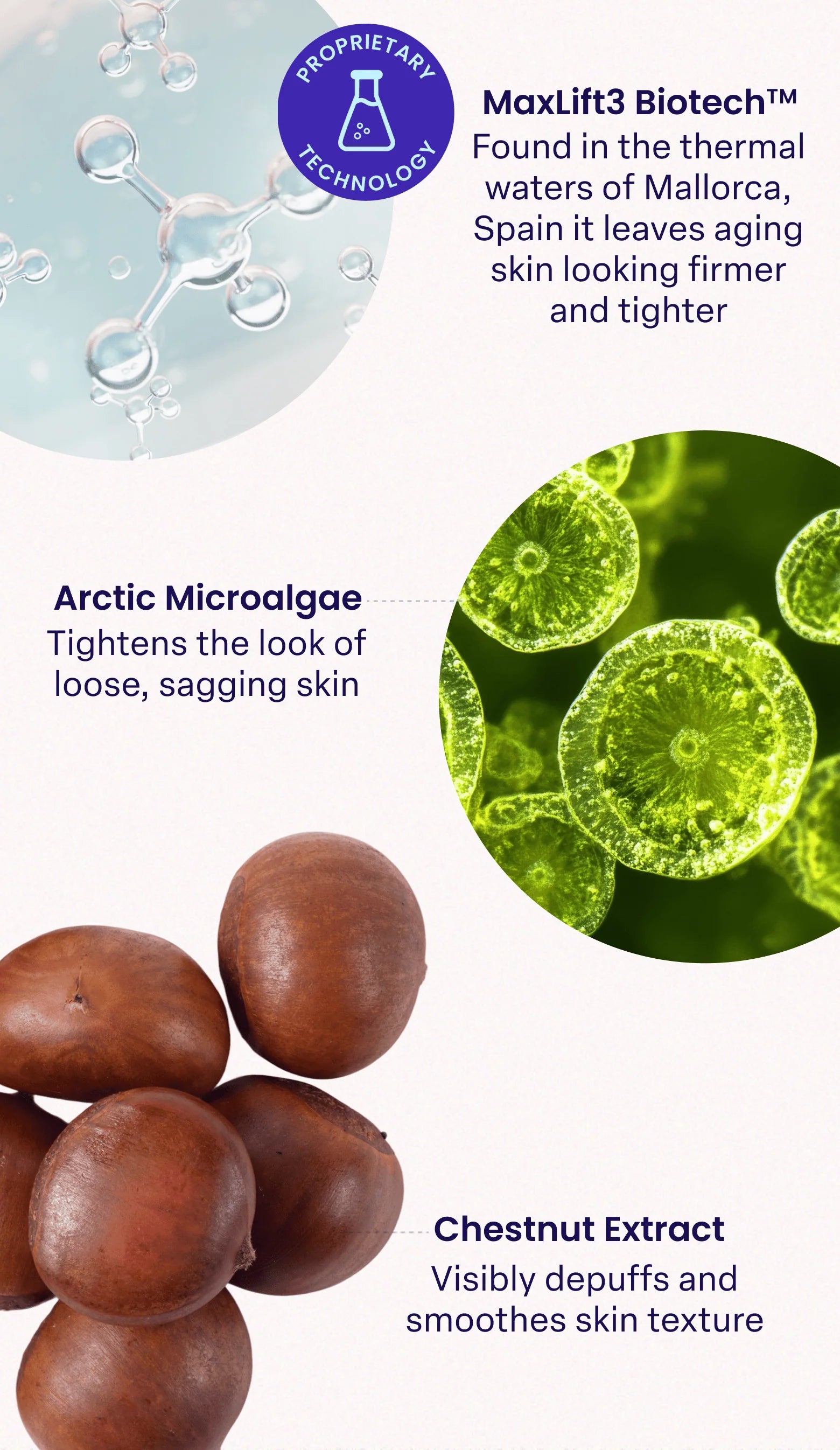 Graphic featuring skincare ingredients and benefits. On the left, water droplets symbolize MaxLift3 Biotech™, noted for tightening aging skin with thermal waters from Mallorca, Spain. Centered is an image of Arctic Microalgae, which tightens loose skin. On the right, a close-up of chestnuts represents Chestnut Extract, which visibly depuffs and smoothens skin texture. The layout combines visuals of these ingredients with descriptions highlighting their properties, emphasizing youthful skin enhancement.